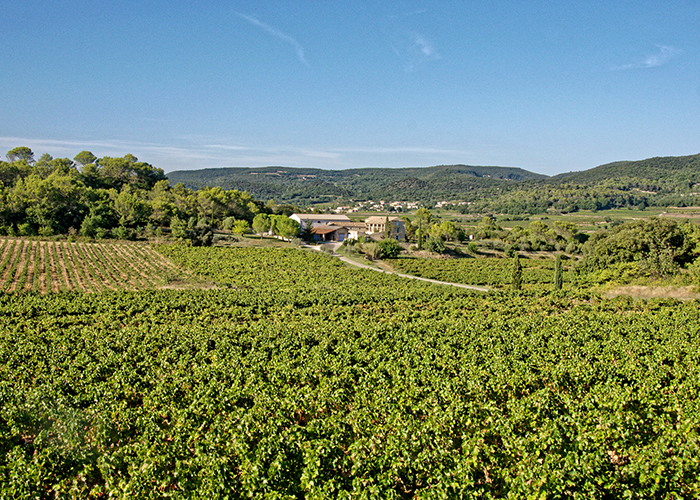 Vignoble Bagnols-sur-Cèze