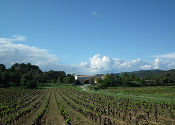 exploitation viticole Bagnols-sur-Cèze